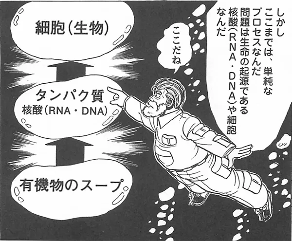 イチョウ 奇跡の2億年史 :ピーター・クレイン,矢野 真千子